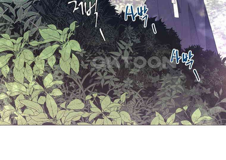돗가비의 연 13화 36