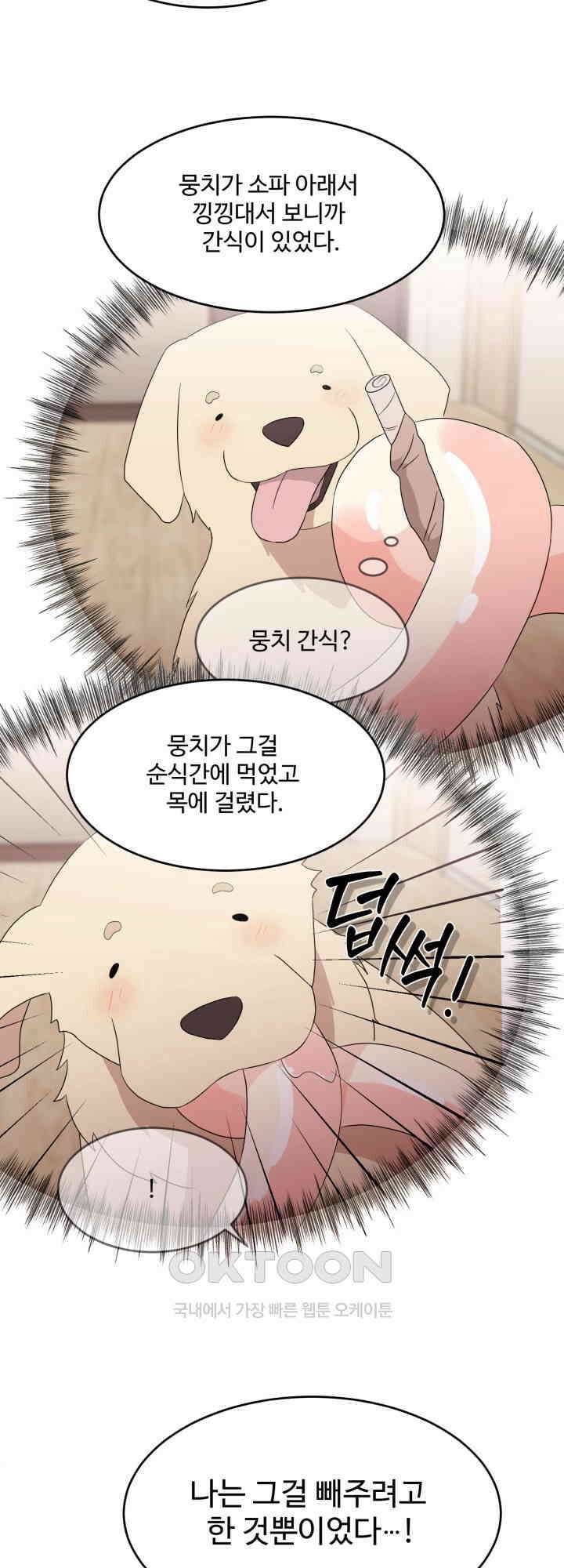쭈꾸쭈꾸 여행기 9화 8