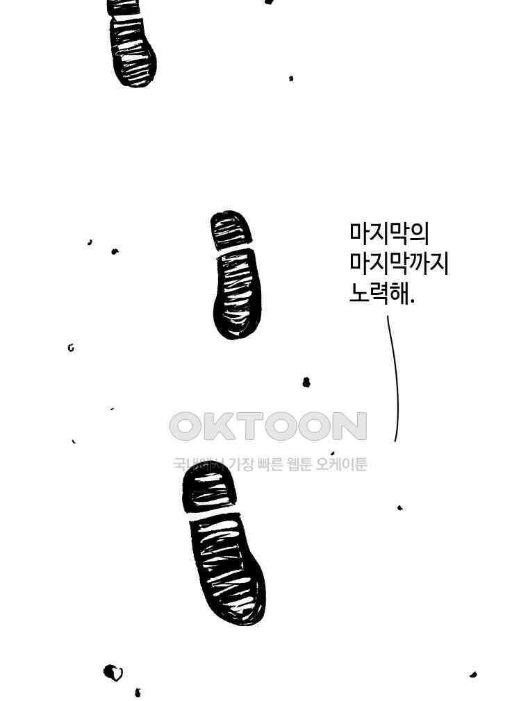 닭은 의외로 위대하다 11．괜찮아 사랑이야 9 59
