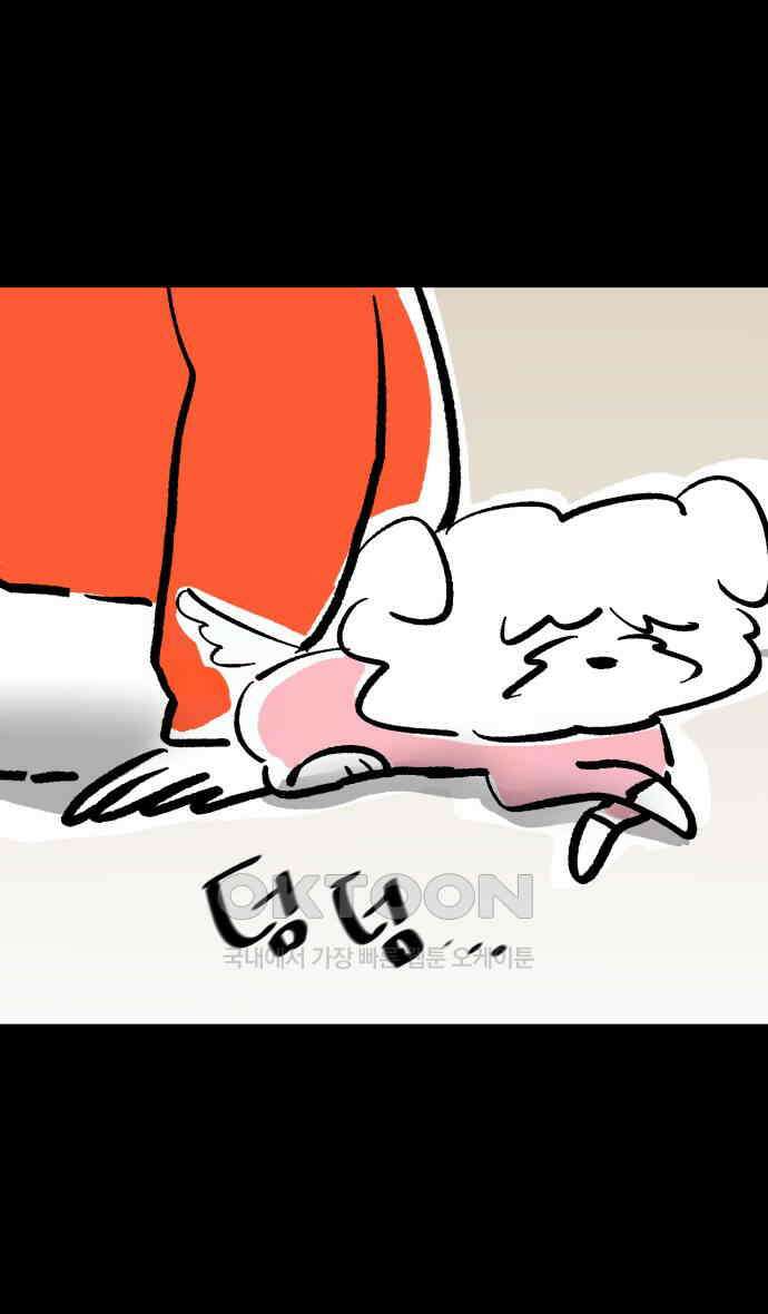 개집사 15화 아이돌 4