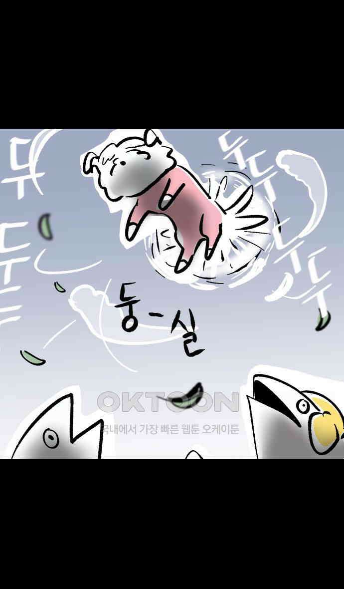 개집사 15화 아이돌 12