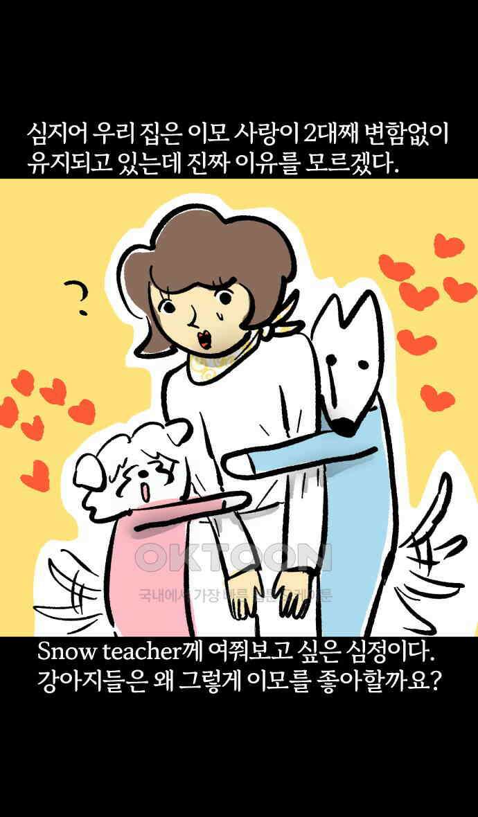 개집사 15화 아이돌 22