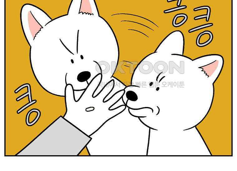 극한견주 시즌2 5화 강아지 알약 먹이는 법 5