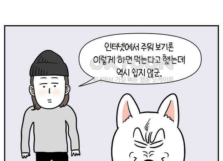 극한견주 시즌2 5화 강아지 알약 먹이는 법 16