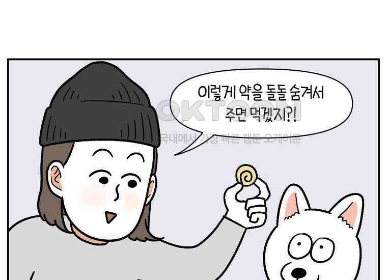극한견주 시즌2 5화 강아지 알약 먹이는 법 19