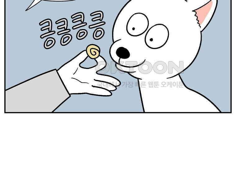 극한견주 시즌2 5화 강아지 알약 먹이는 법 21