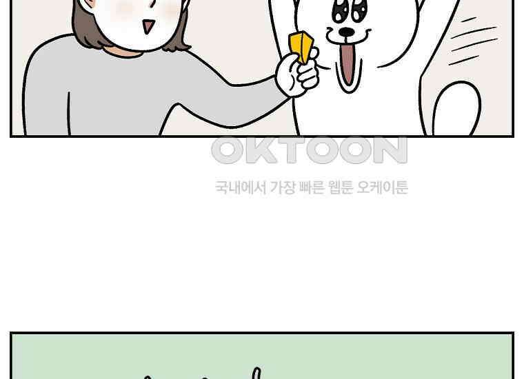 극한견주 시즌2 5화 강아지 알약 먹이는 법 31