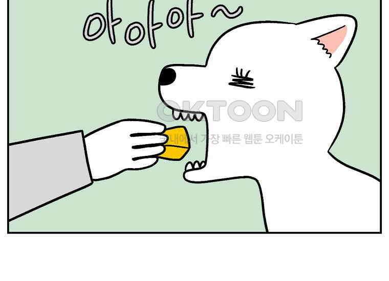 극한견주 시즌2 5화 강아지 알약 먹이는 법 32