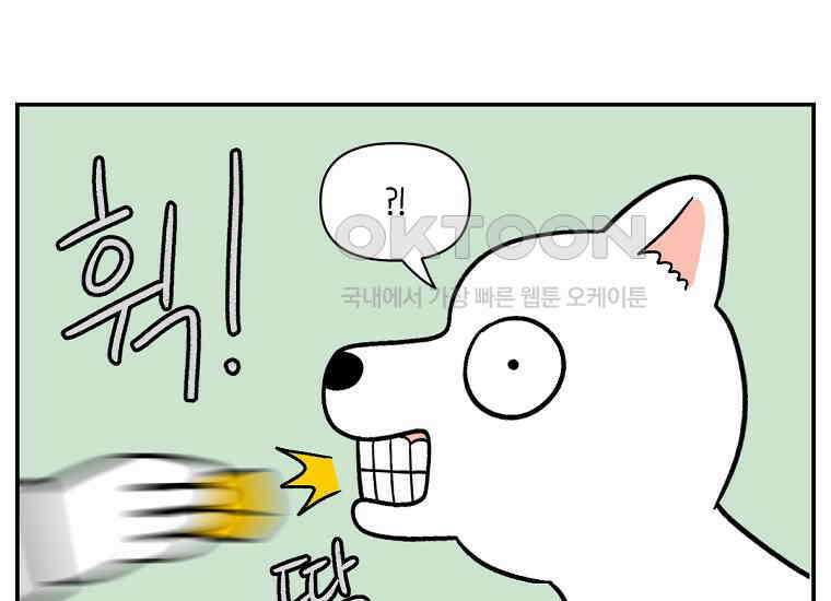 극한견주 시즌2 5화 강아지 알약 먹이는 법 33