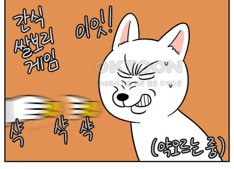극한견주 시즌2 5화 강아지 알약 먹이는 법 36