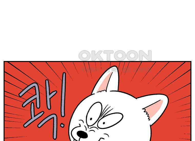 극한견주 시즌2 5화 강아지 알약 먹이는 법 37
