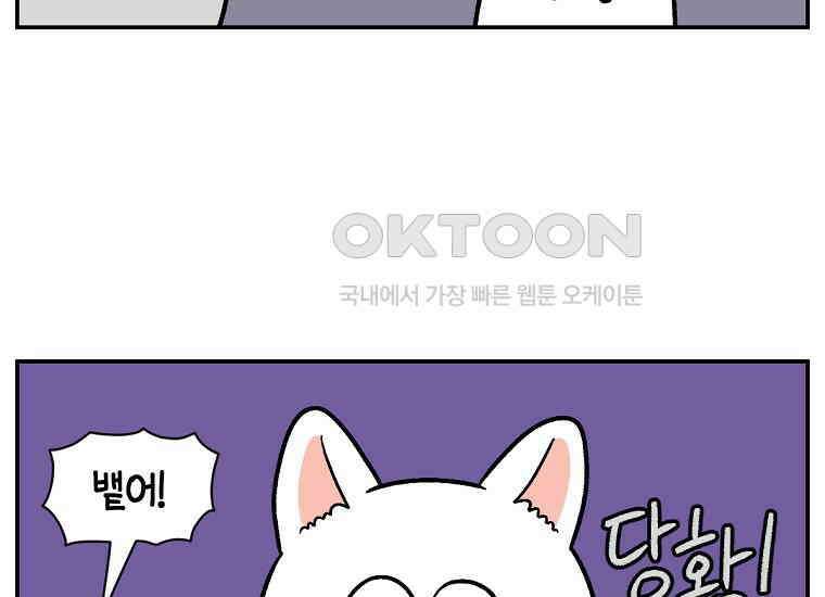 극한견주 시즌2 5화 강아지 알약 먹이는 법 44