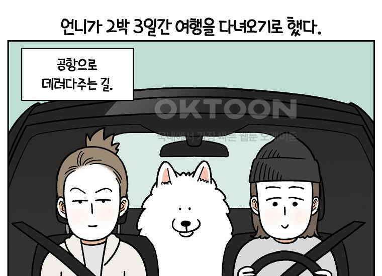 극한견주 시즌2 18화 언니가 없으면 슬픈 개 3