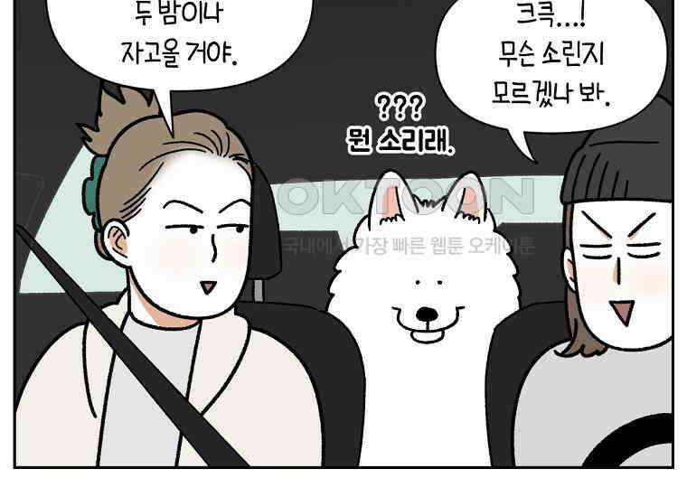 극한견주 시즌2 18화 언니가 없으면 슬픈 개 5