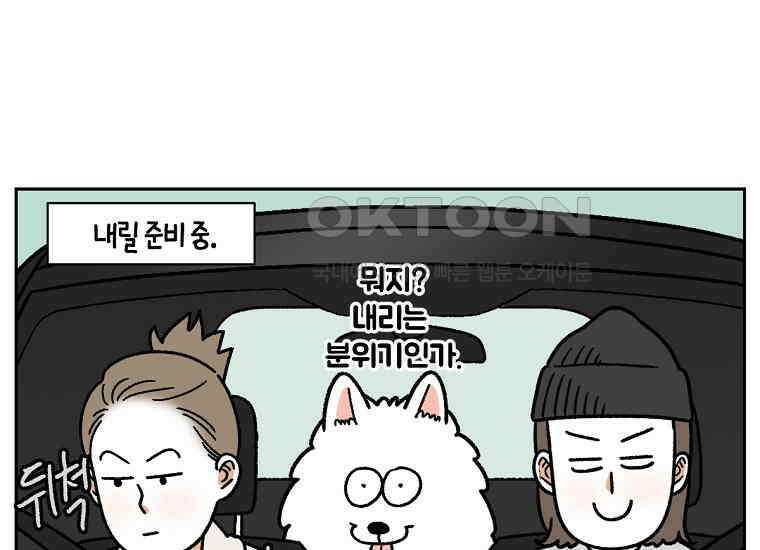 극한견주 시즌2 18화 언니가 없으면 슬픈 개 6
