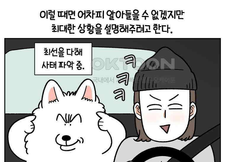 극한견주 시즌2 18화 언니가 없으면 슬픈 개 11