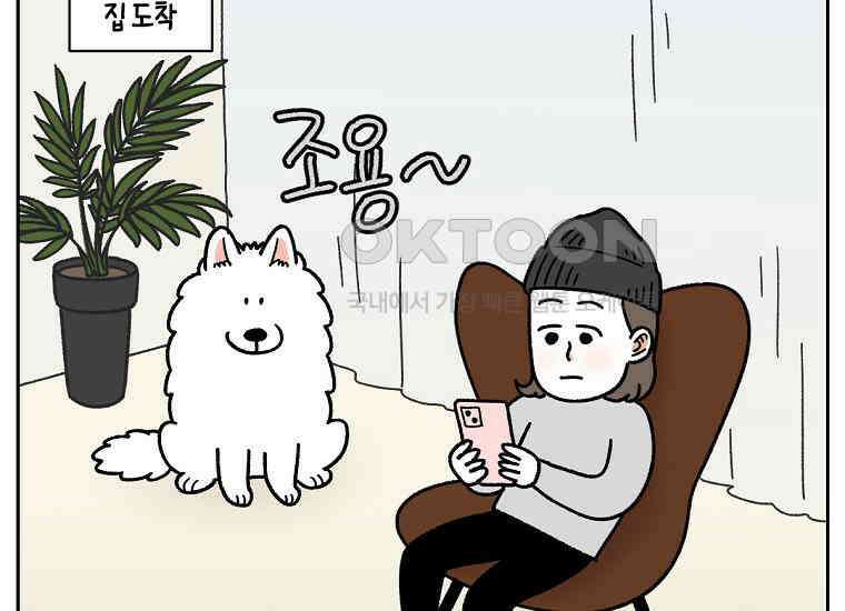 극한견주 시즌2 18화 언니가 없으면 슬픈 개 13