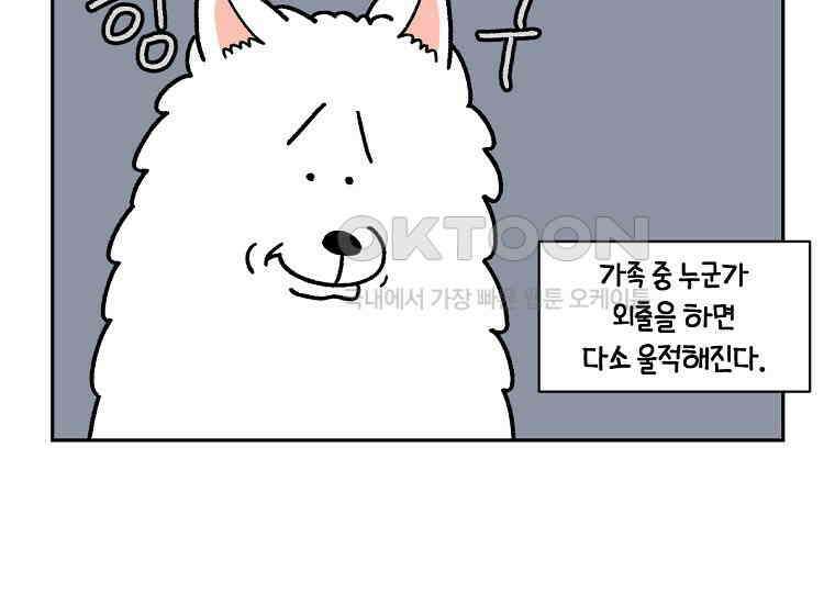 극한견주 시즌2 18화 언니가 없으면 슬픈 개 15