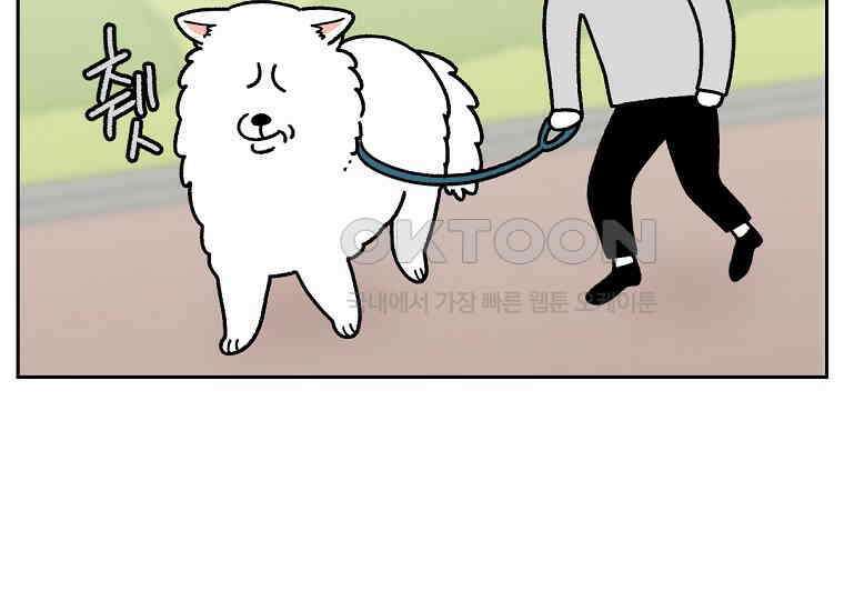 극한견주 시즌2 18화 언니가 없으면 슬픈 개 23