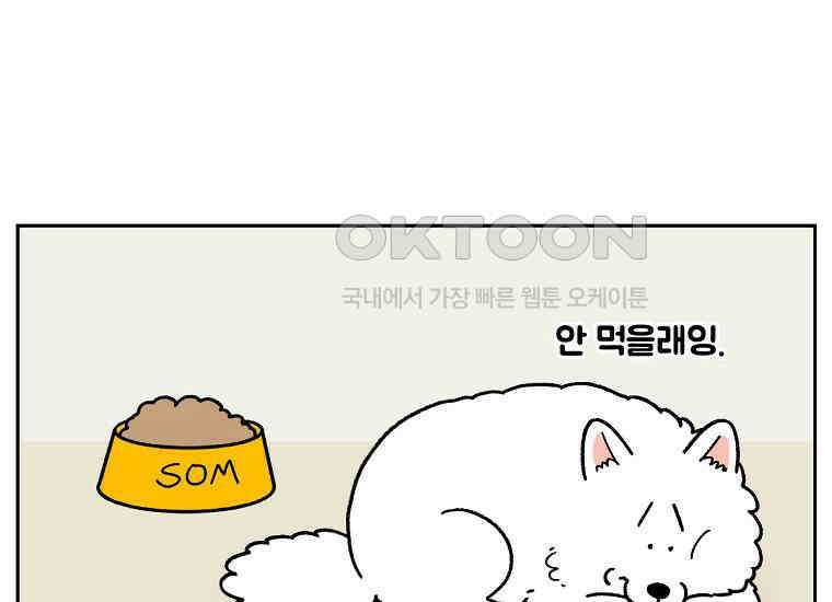 극한견주 시즌2 18화 언니가 없으면 슬픈 개 29