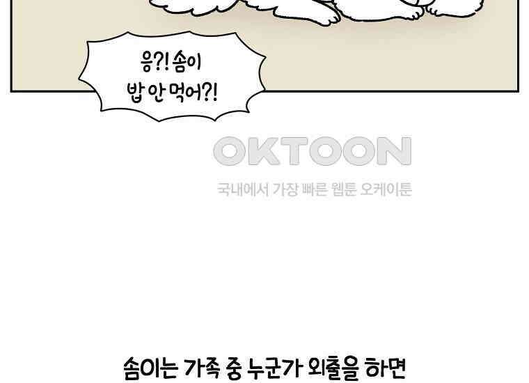 극한견주 시즌2 18화 언니가 없으면 슬픈 개 30