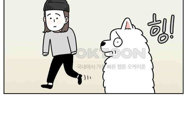 극한견주 시즌2 18화 언니가 없으면 슬픈 개 33