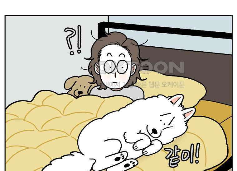 극한견주 시즌2 18화 언니가 없으면 슬픈 개 37