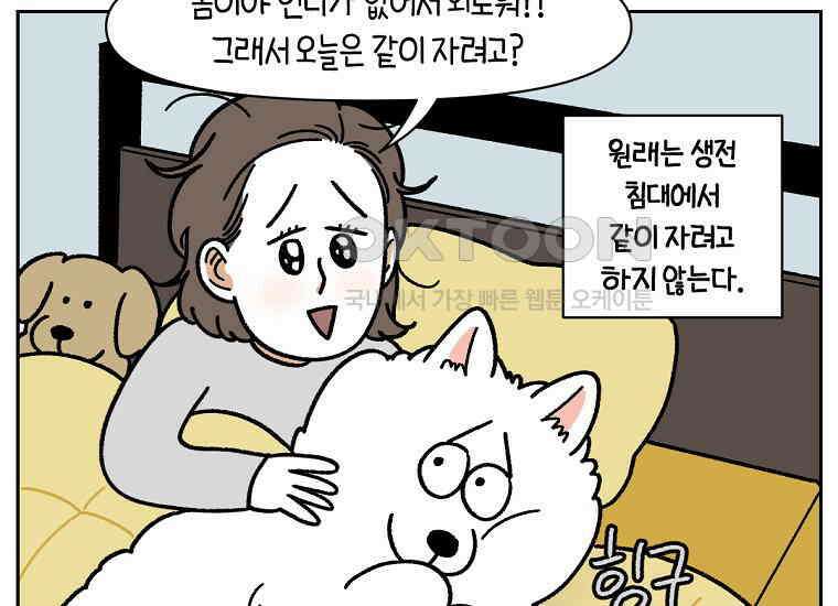 극한견주 시즌2 18화 언니가 없으면 슬픈 개 39