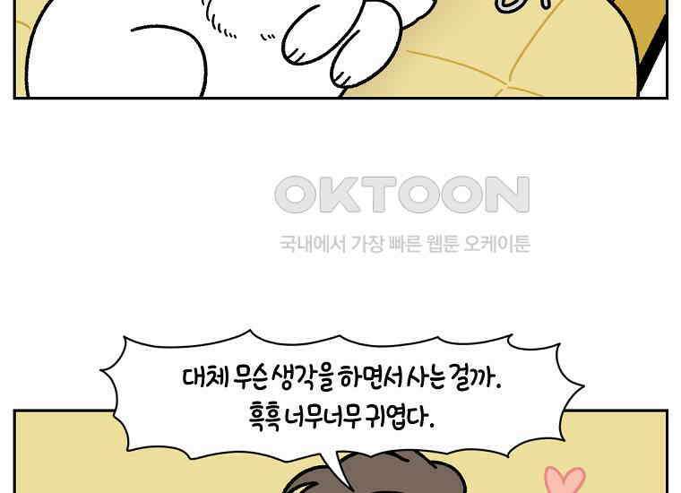극한견주 시즌2 18화 언니가 없으면 슬픈 개 40