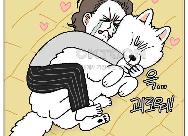 극한견주 시즌2 18화 언니가 없으면 슬픈 개 41