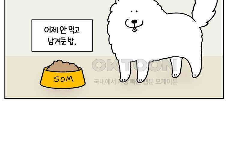 극한견주 시즌2 18화 언니가 없으면 슬픈 개 43