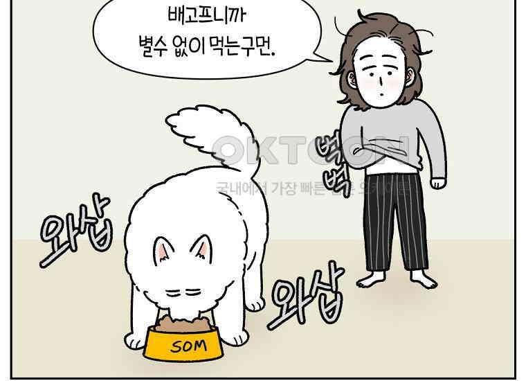 극한견주 시즌2 18화 언니가 없으면 슬픈 개 46
