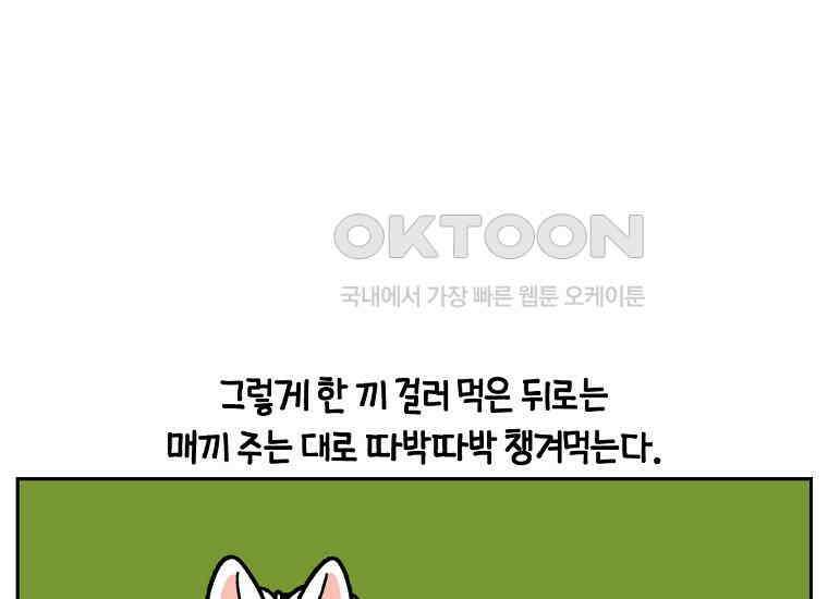 극한견주 시즌2 18화 언니가 없으면 슬픈 개 47