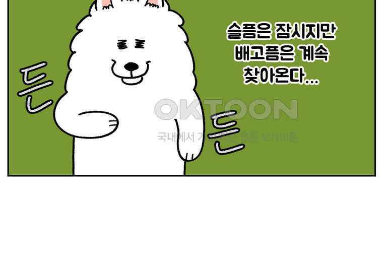 극한견주 시즌2 18화 언니가 없으면 슬픈 개 48