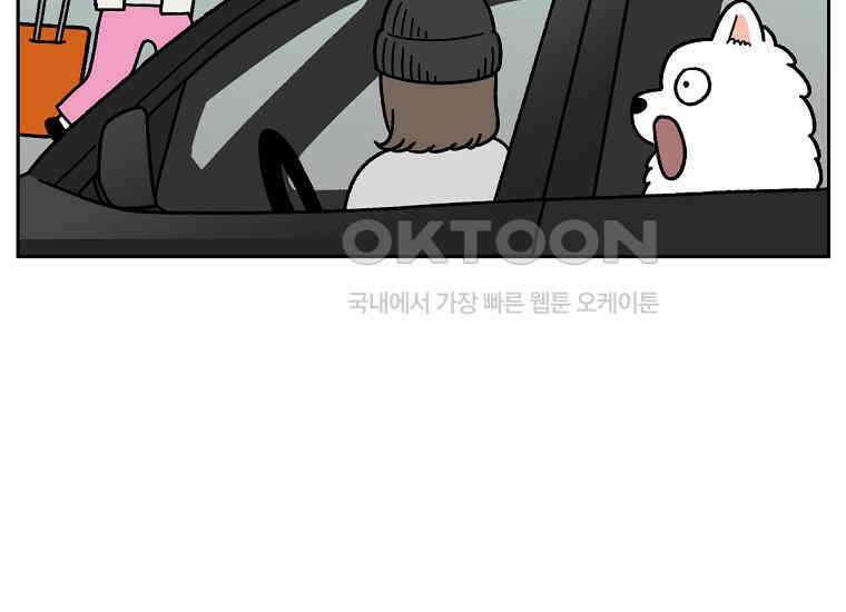 극한견주 시즌2 18화 언니가 없으면 슬픈 개 50