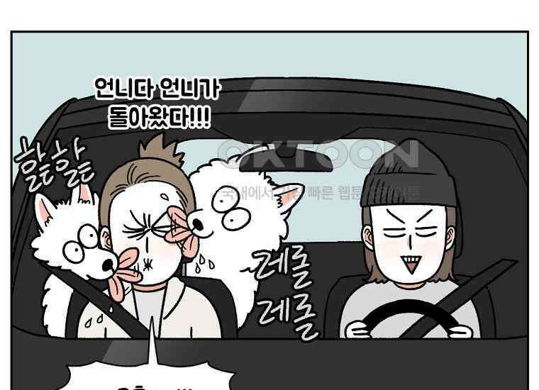 극한견주 시즌2 18화 언니가 없으면 슬픈 개 51