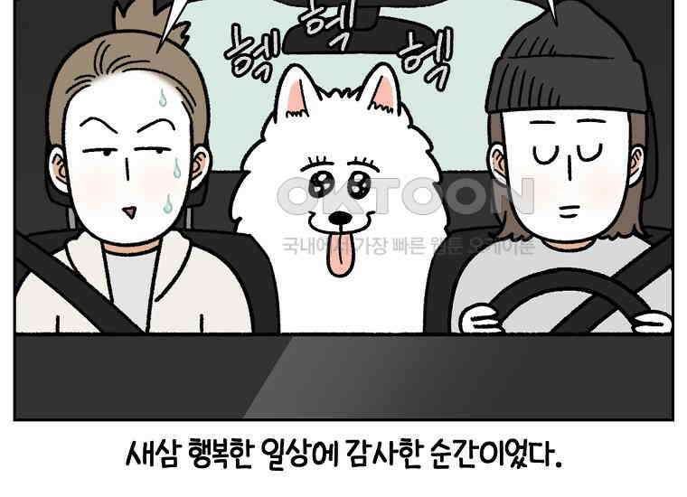 극한견주 시즌2 18화 언니가 없으면 슬픈 개 53