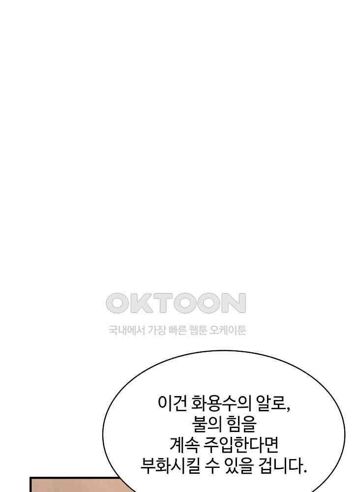 혼돈의 연단사 251 4