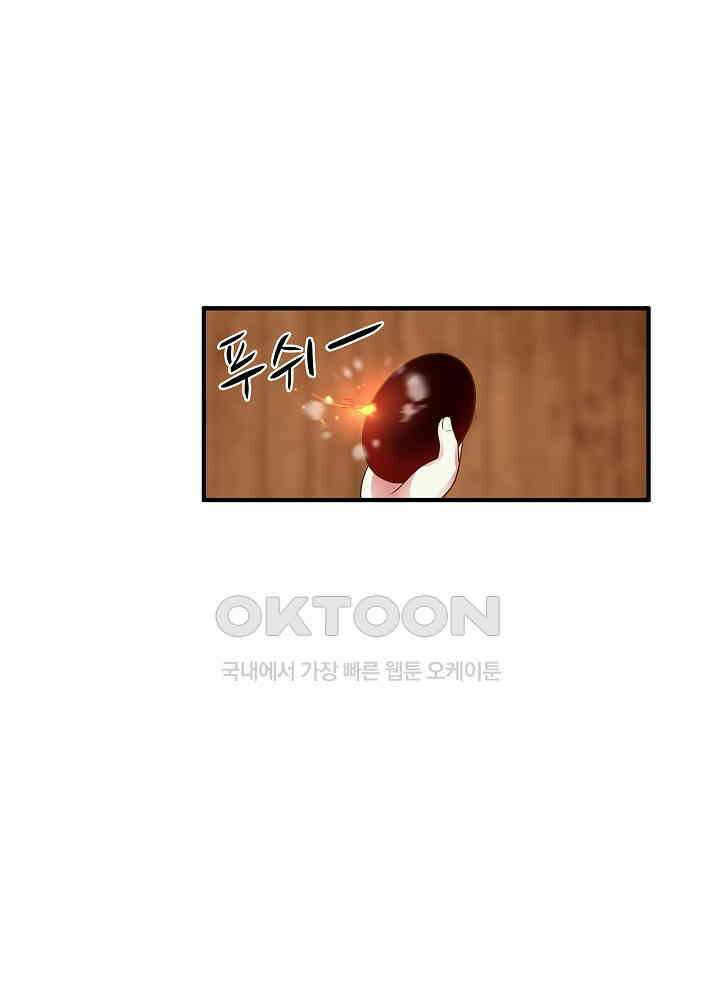 혼돈의 연단사 251 30