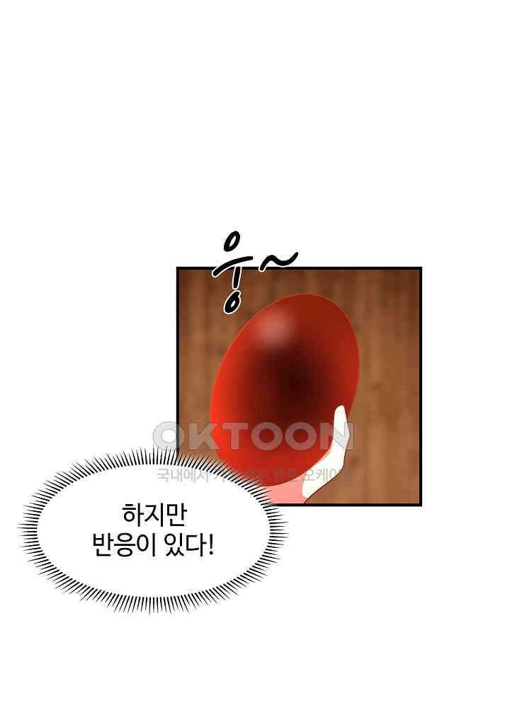 혼돈의 연단사 251 33