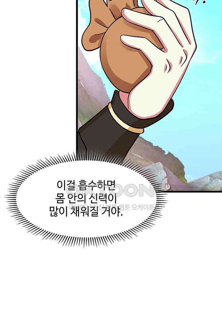 혼돈의 연단사 301 37