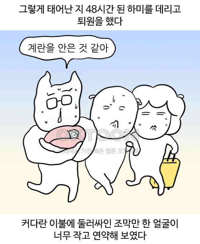 신혼일기 67화 집으로 4