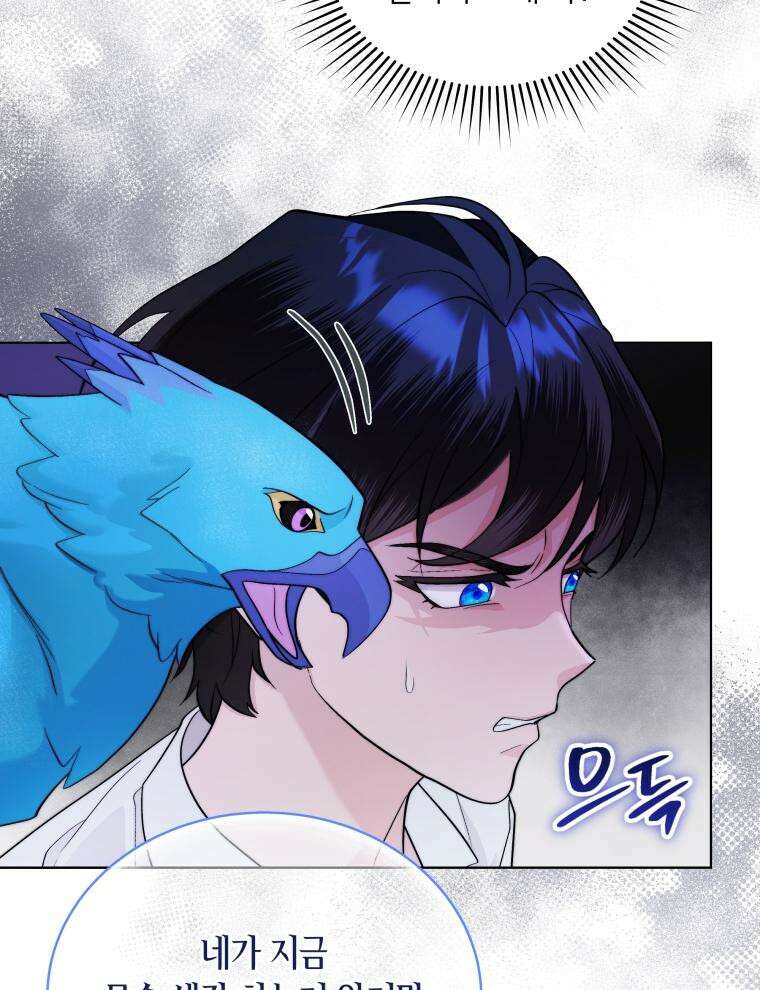 바다새와 늑대 21화 15