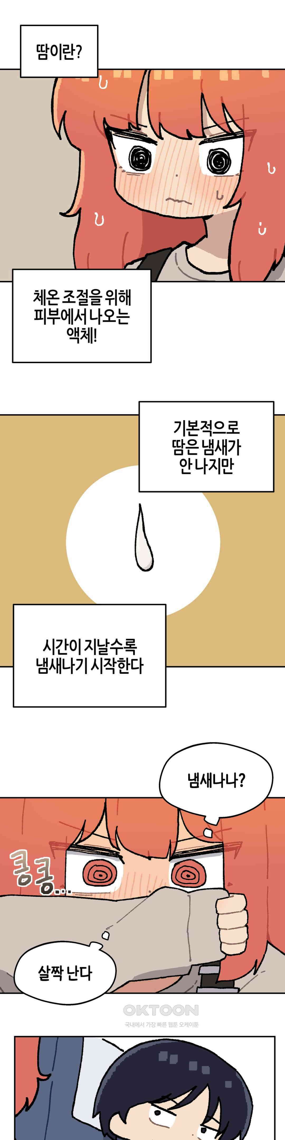 이림이야기 비행기 4