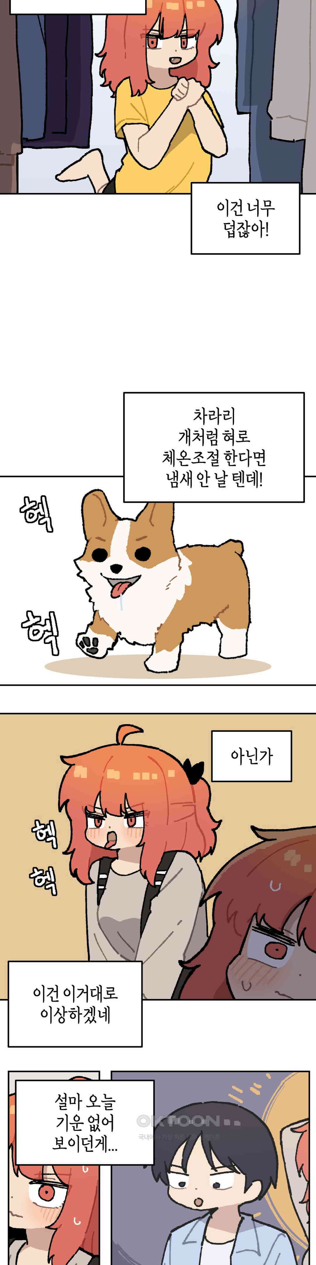 이림이야기 비행기 7