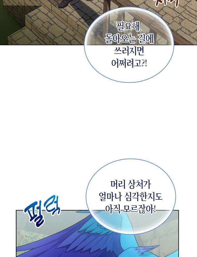 바다새와 늑대 41화 4