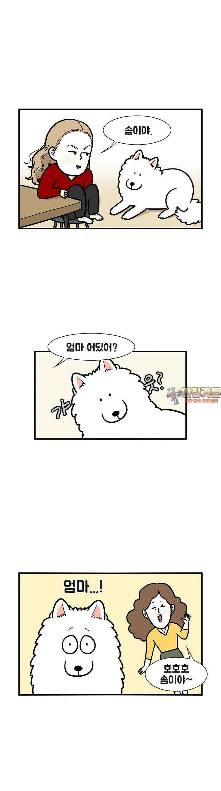 극한견주 45화 엄마 1