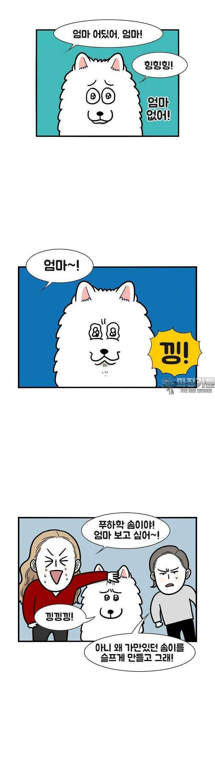 극한견주 45화 엄마 2