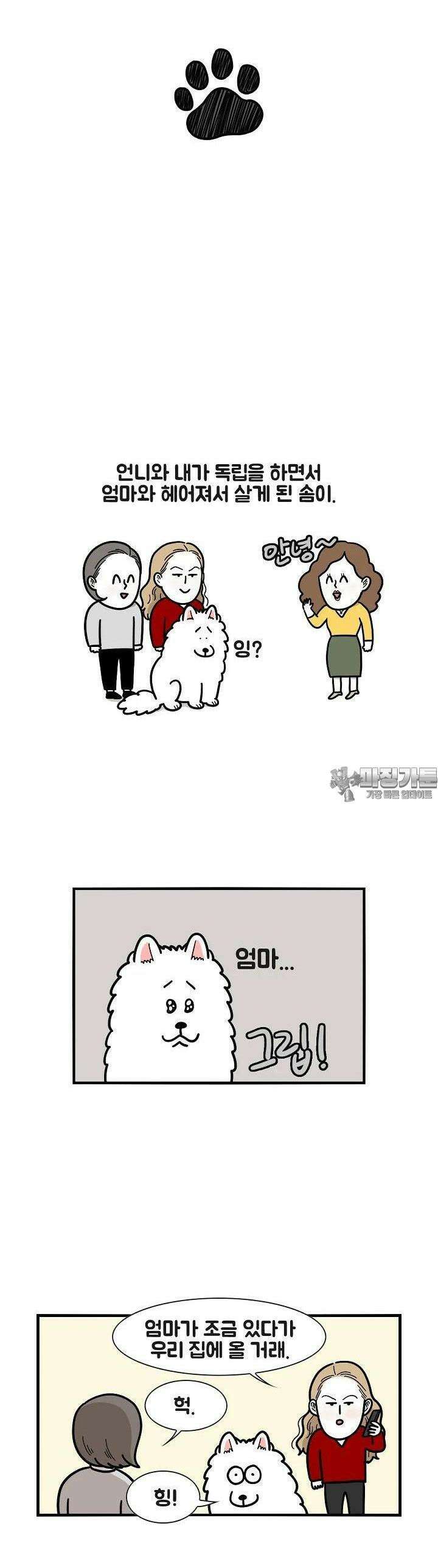 극한견주 45화 엄마 3