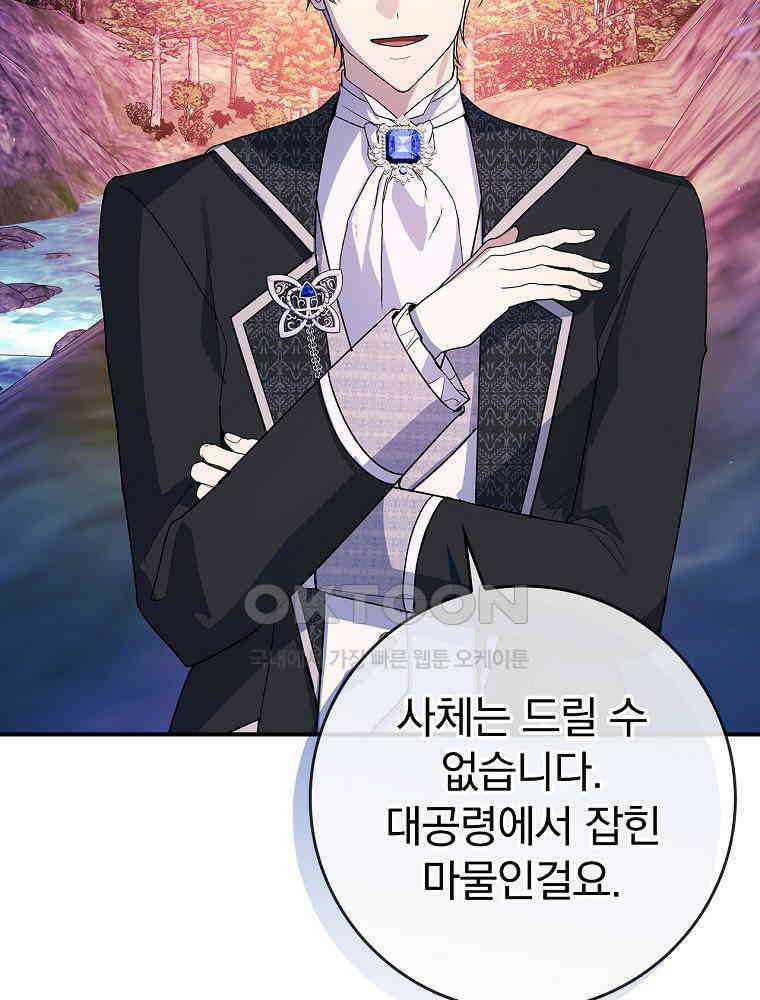 이거 전략게임 아니었나요 25화 16